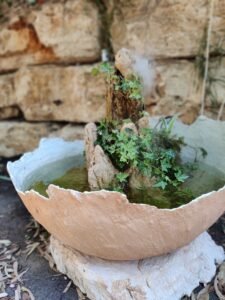 IMG_20240605_154016_Bokeh