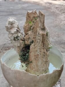 מפל בגובה 110 ס"מ