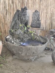 IMG_20251223_110259 (1)