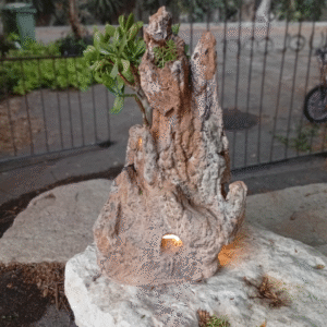 מנורה עם סוקולנט