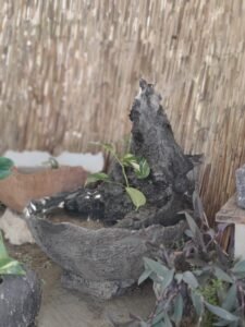 WhatsApp Image 2025-12-23 at 13.53.52