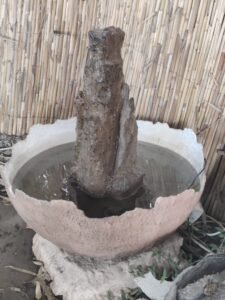 WhatsApp Image 2026-03-16 at 15.21.29